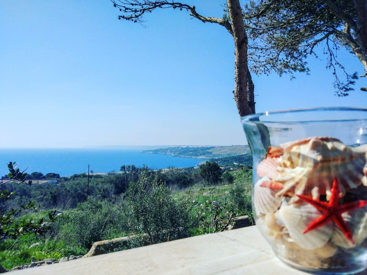 Villa Alda - Bilocali Vista Mare سانتا سيزاريا تيرمي المظهر الخارجي الصورة