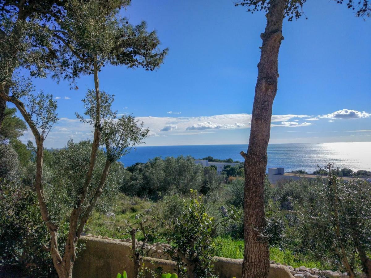 Villa Alda - Bilocali Vista Mare سانتا سيزاريا تيرمي المظهر الخارجي الصورة